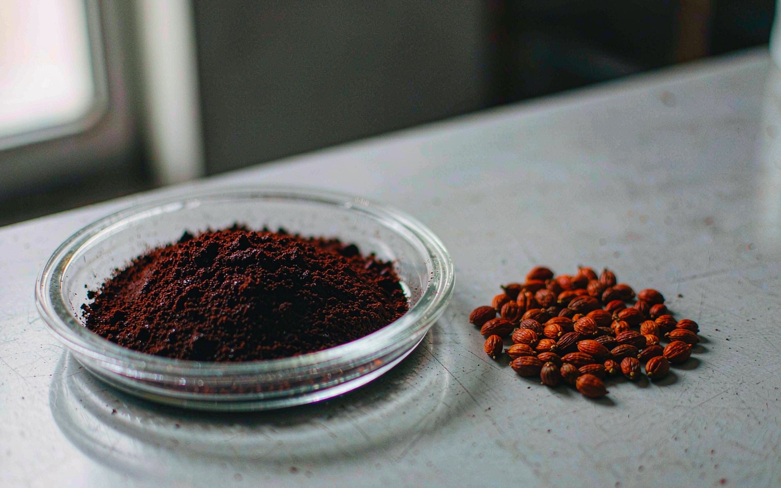 Dark reddish brown annatto extract powder in a shallow glass dish beside a small pile of hard reddish brown annatto seeds