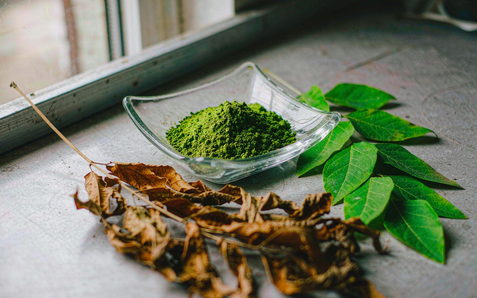 Vivid green moringa leaf powder in a glass dish beside fresh moringa leaflets and dried leaves