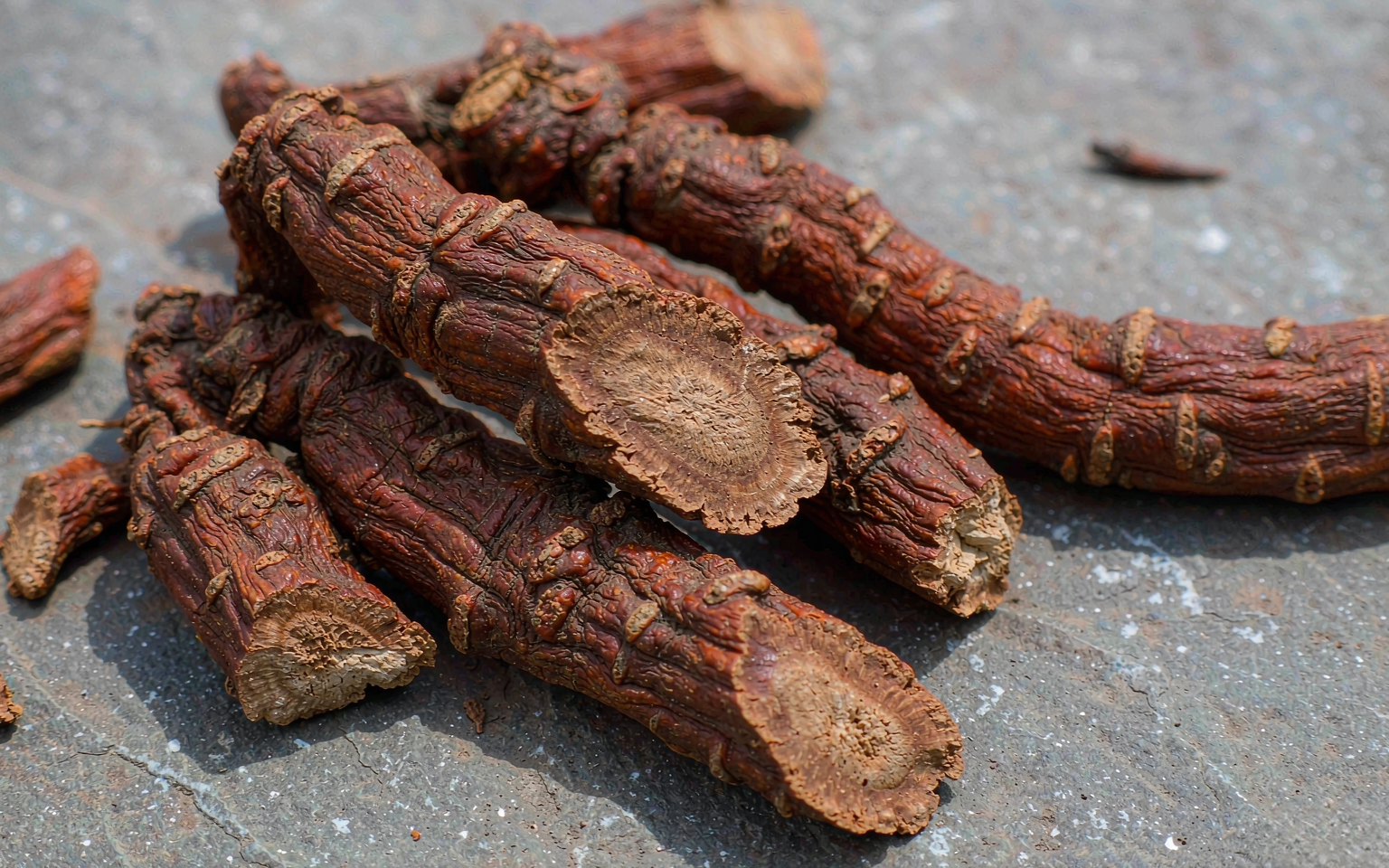 Rhodiola Rosea Extract 1 Dried Rhodiola rosea root segments, the raw material for standardised rhodiola rosea extract